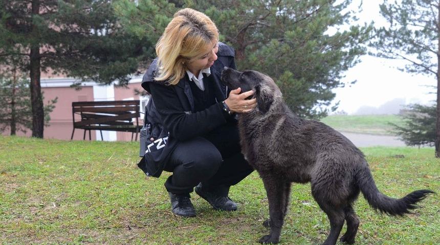 SA&Uuml; g&uuml;venliği kamp&uuml;s i&ccedil;indeki hayvanları besliyor
