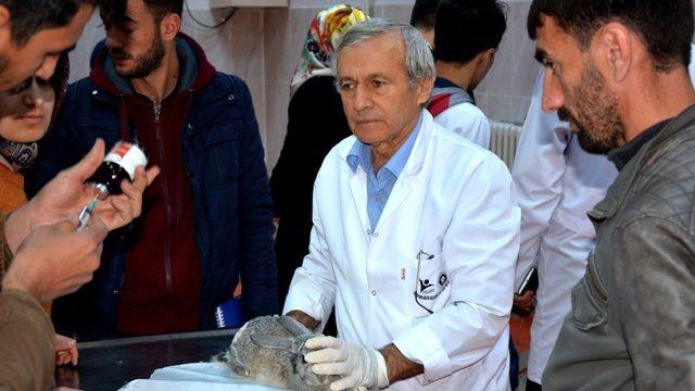 BÜ Veterinerlik Fakültesi,  hayvanlar için tedavi merkezi oldu