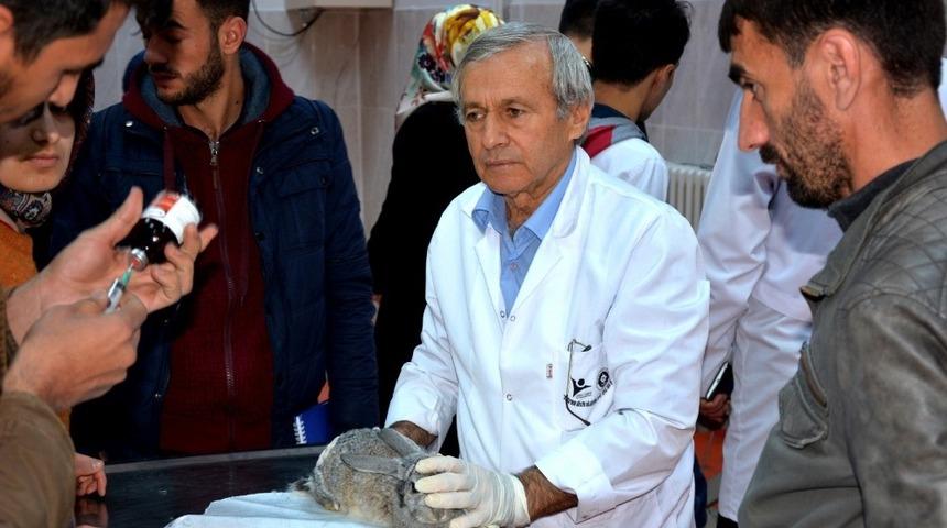 B&Uuml; Veterinerlik Fak&uuml;ltesi,  hayvanlar i&ccedil;in tedavi merkezi oldu