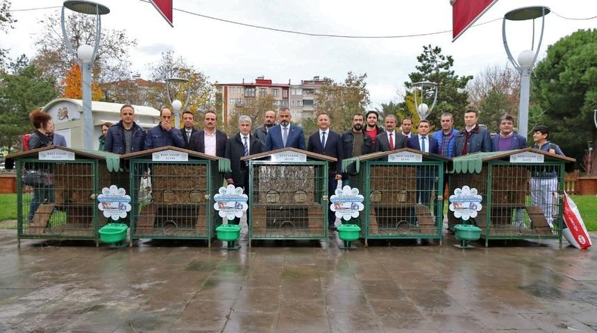 Kediler dubleks evlerine kavuştu