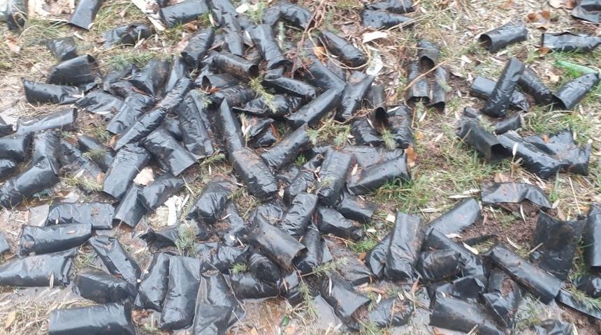 Dere yatağında 5 bin t&uuml;p fidan bulundu