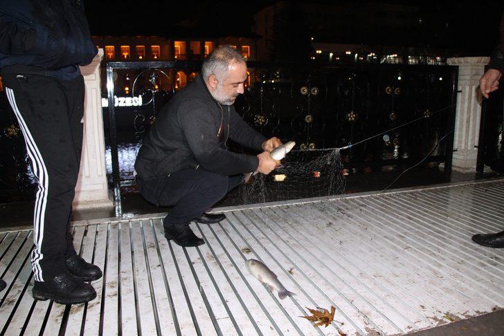 Yeşilırmak'ta korkunç görüntü! Çok sayıda ölü balık kıyıya vurdu G2