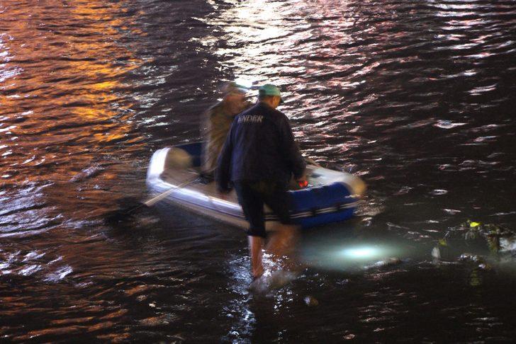 Yeşilırmak'ta korkunç görüntü! Çok sayıda ölü balık kıyıya vurdu G4