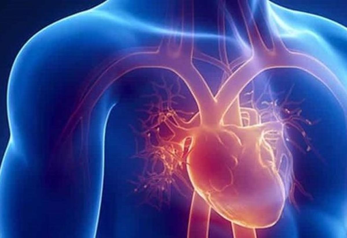 kalp atış hızı hesaplayıcı webmd sağlık Kan basıncınız aniden yükselirse