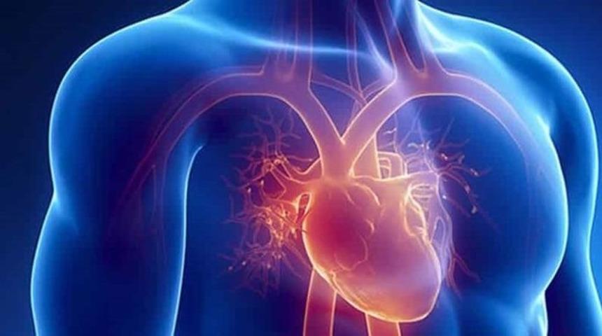 Nabız kaç olmalı? Kalbin hızlı atması hastalık habercisi mi?