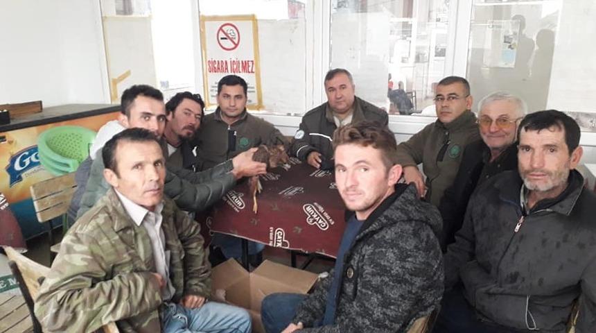 Yaralı kızıl şahine sahip &ccedil;ıktılar