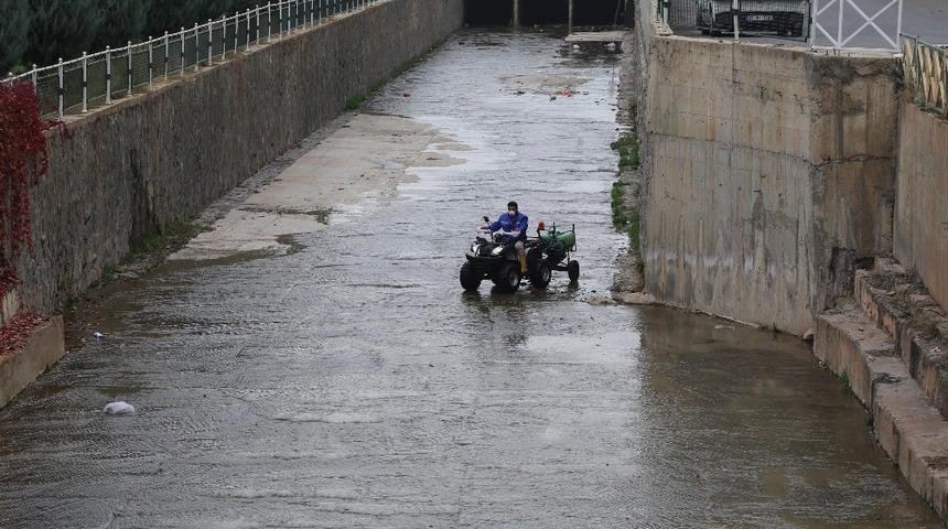 Haliliye Belediyesinden larva mücadelesi
