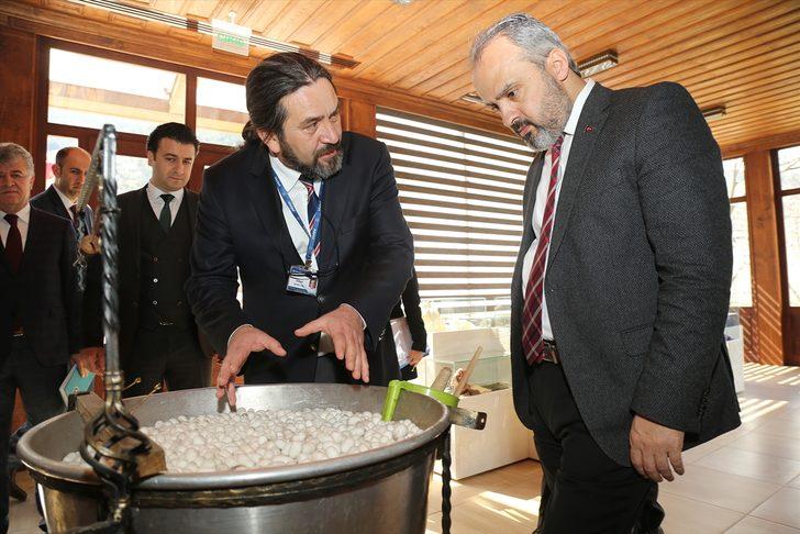 Dağ köyündeki Katar sarayına ipek halı G4