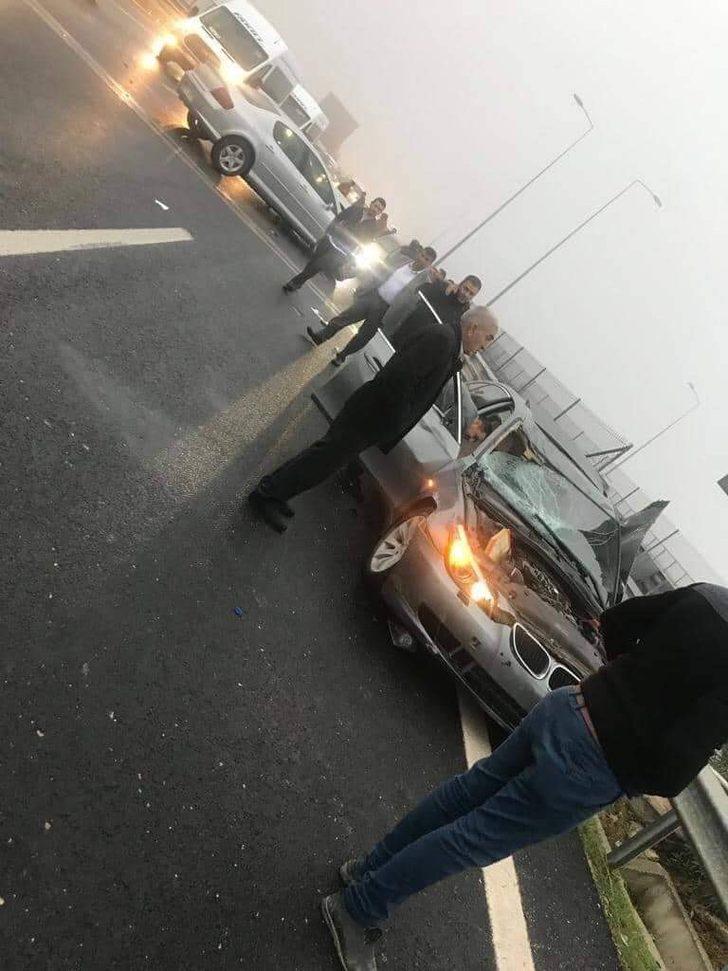 Karayolunda korkutan anlar! İnek TIR'dan düşünce... G2