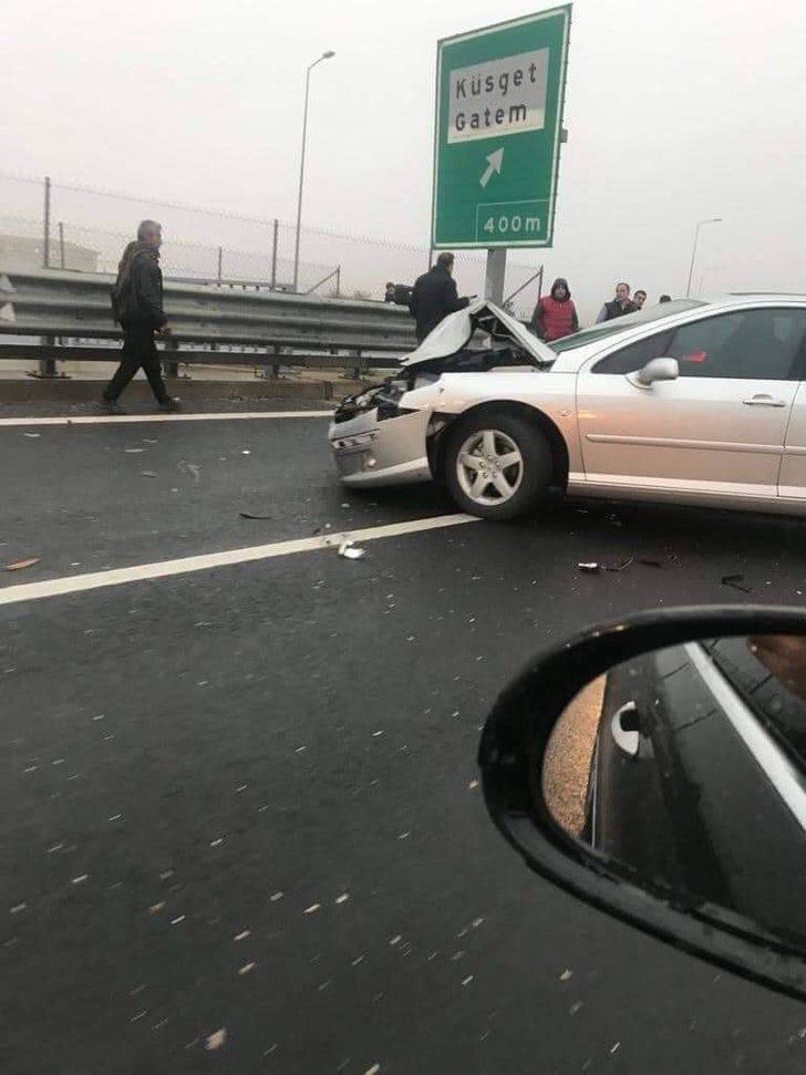Karayolunda korkutan anlar! İnek TIR'dan düşünce... G4