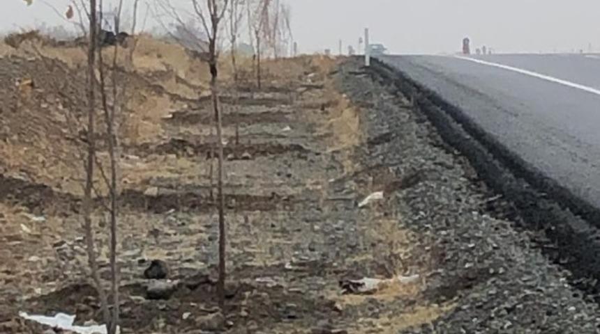 Iğdır&rsquo;ın &ccedil;evresi g&uuml;zelleşiyor