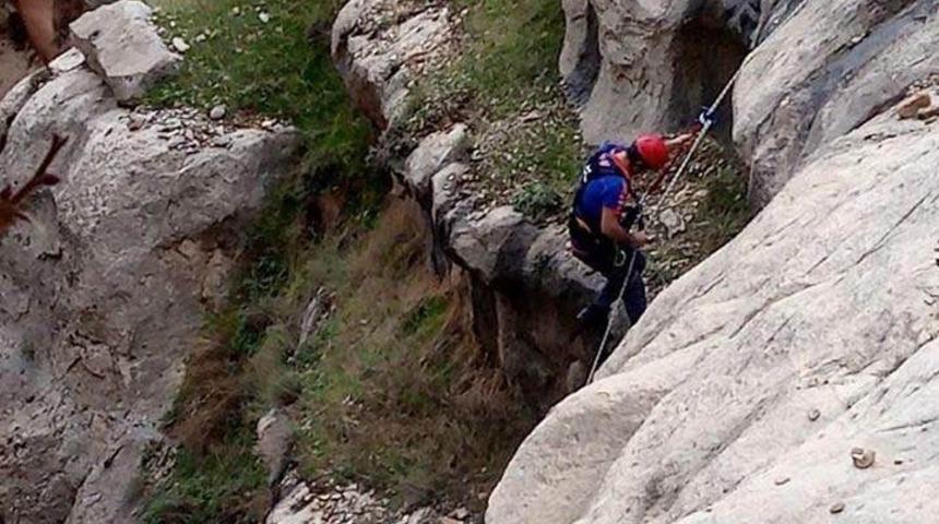 Mahsur kalan ke&ccedil;i, AFAD ekiplerince kurtarıldı