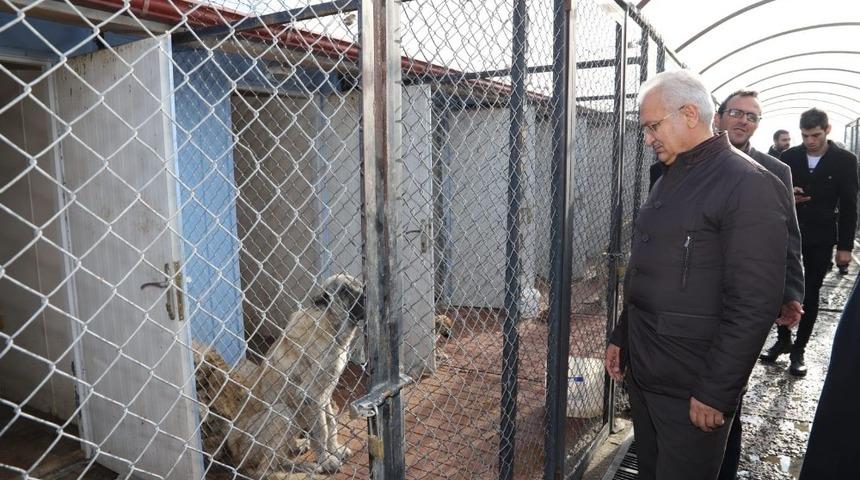 Erzincan Belediye Başkanı Cemalettin Başsoy Hayvan Bakım Evi&rsquo;ni denetledi