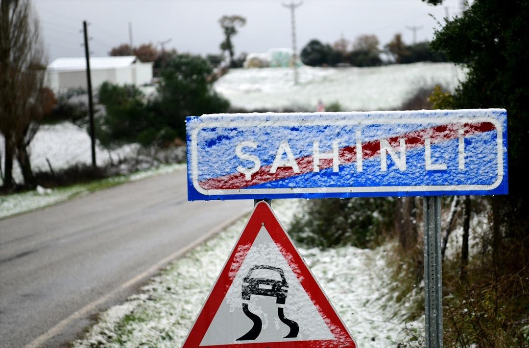 Trakya beyaza b&uuml;r&uuml;nd&uuml;