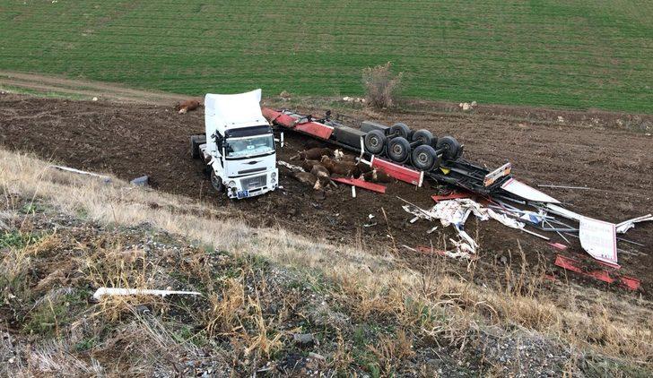 Hayvan yüklü tır devrildi! 14'ü telef oldu, 11'i kesildi G1