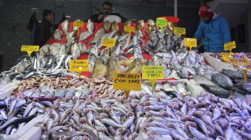 Karadeniz&rsquo;de balık bolluğu
