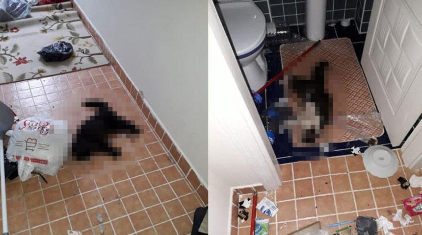 Kokudan vahşet çıktı! Sözleri şoke etti