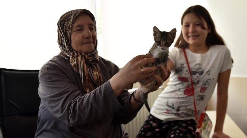 11 ayda bin 119 hayvan sahiplendirildi.