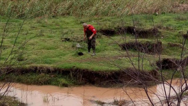 Mahsur kalan yavru köpekleri itfaiye ekipleri kurtardı