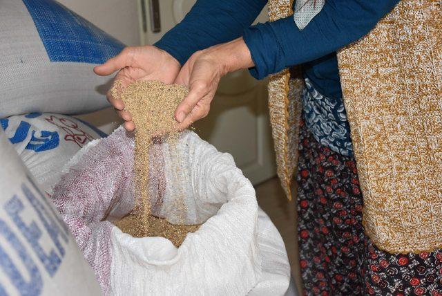 Kredi çekerek astronatların yiyeceği 'kinoa' üretti, elinde kaldı