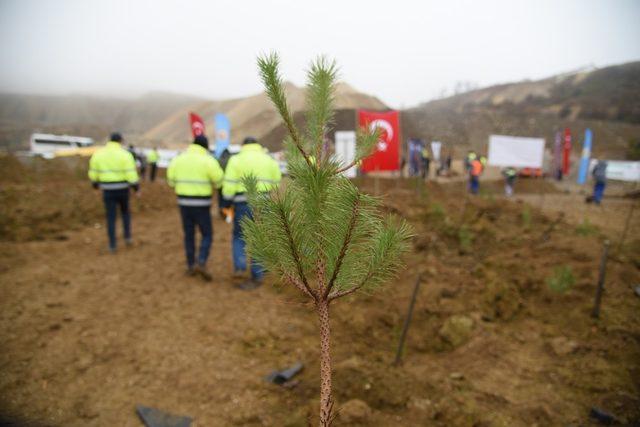 Madenciler, öğrenciler ve ormancılar el ele fidan dikti