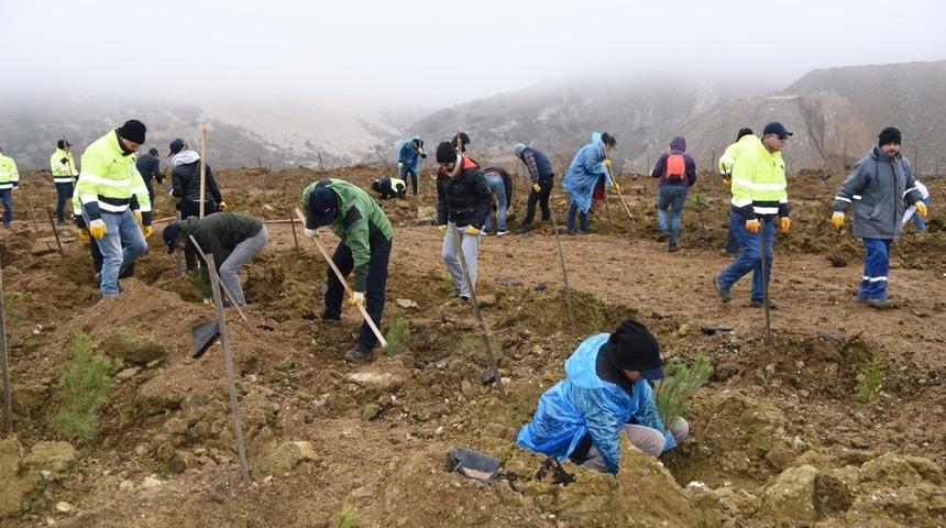 Madenciler, &ouml;ğrenciler ve ormancılar el ele fidan dikti