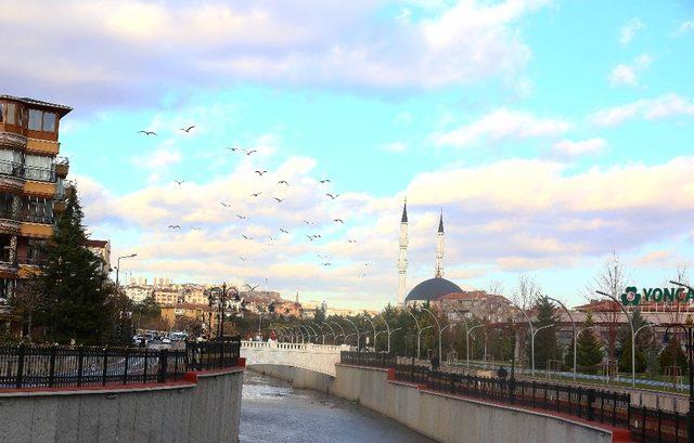 Gümüşdere martıların evi haline geldi