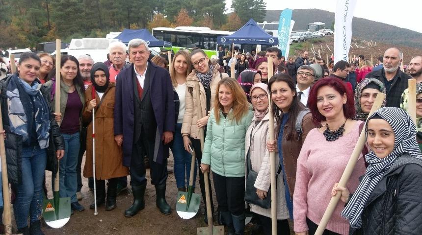 Kartepeli minikler fidan dikti