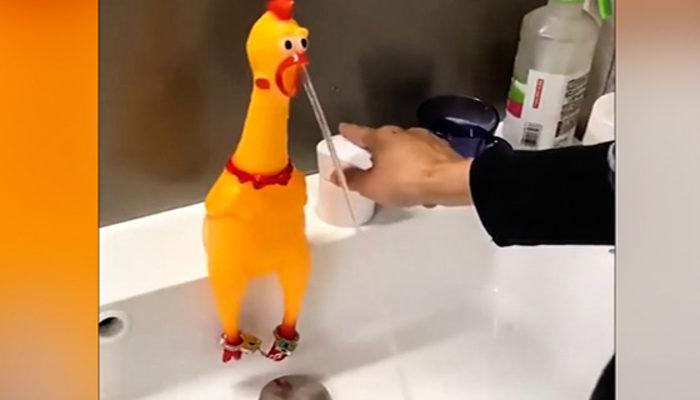 Sabahları ayılmak için farklı yöntem! Ses çıkaran oyuncak bu kez