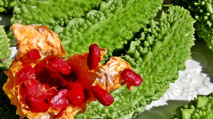 Faydası kanıtlandı: Kanser hücrelerinin yayılmasını önleyecek