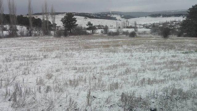 Bozüyük’te kar yağışı etkili oldu