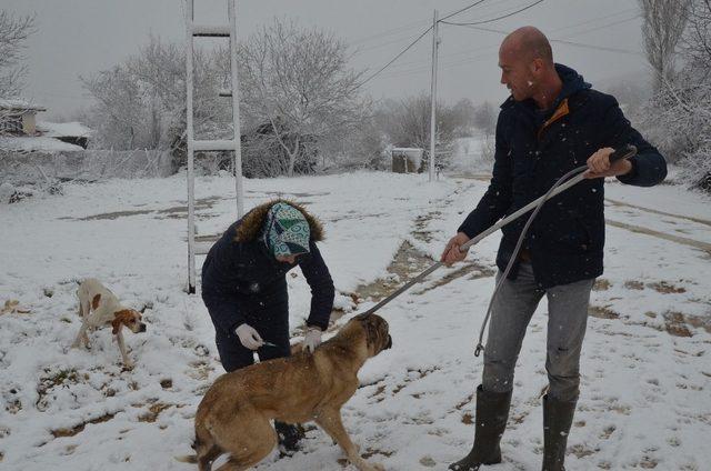 Kırsaldaki sahipsiz sokak hayvanları unutulmadı