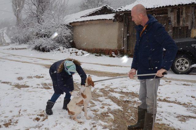 Kırsaldaki sahipsiz sokak hayvanları unutulmadı