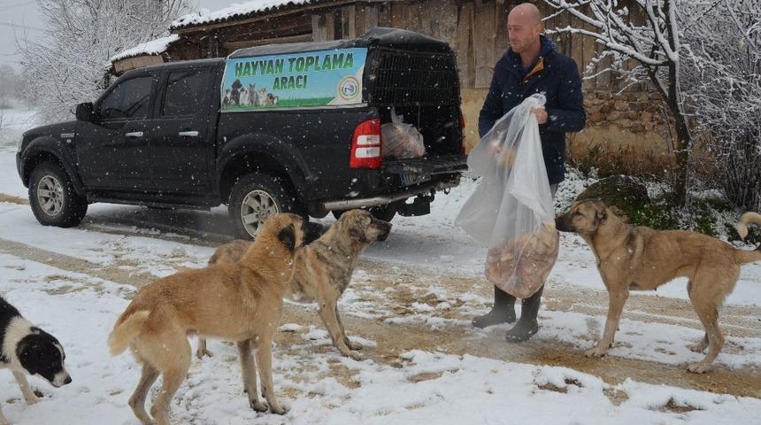 Kırsaldaki sahipsiz sokak hayvanları unutulmadı