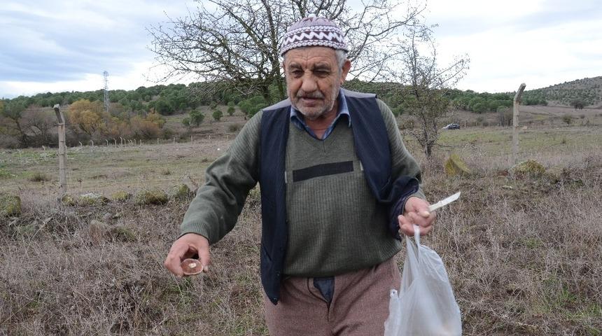 (&Ouml;zel) Yağan yağmur mantarcıları sevindirdi