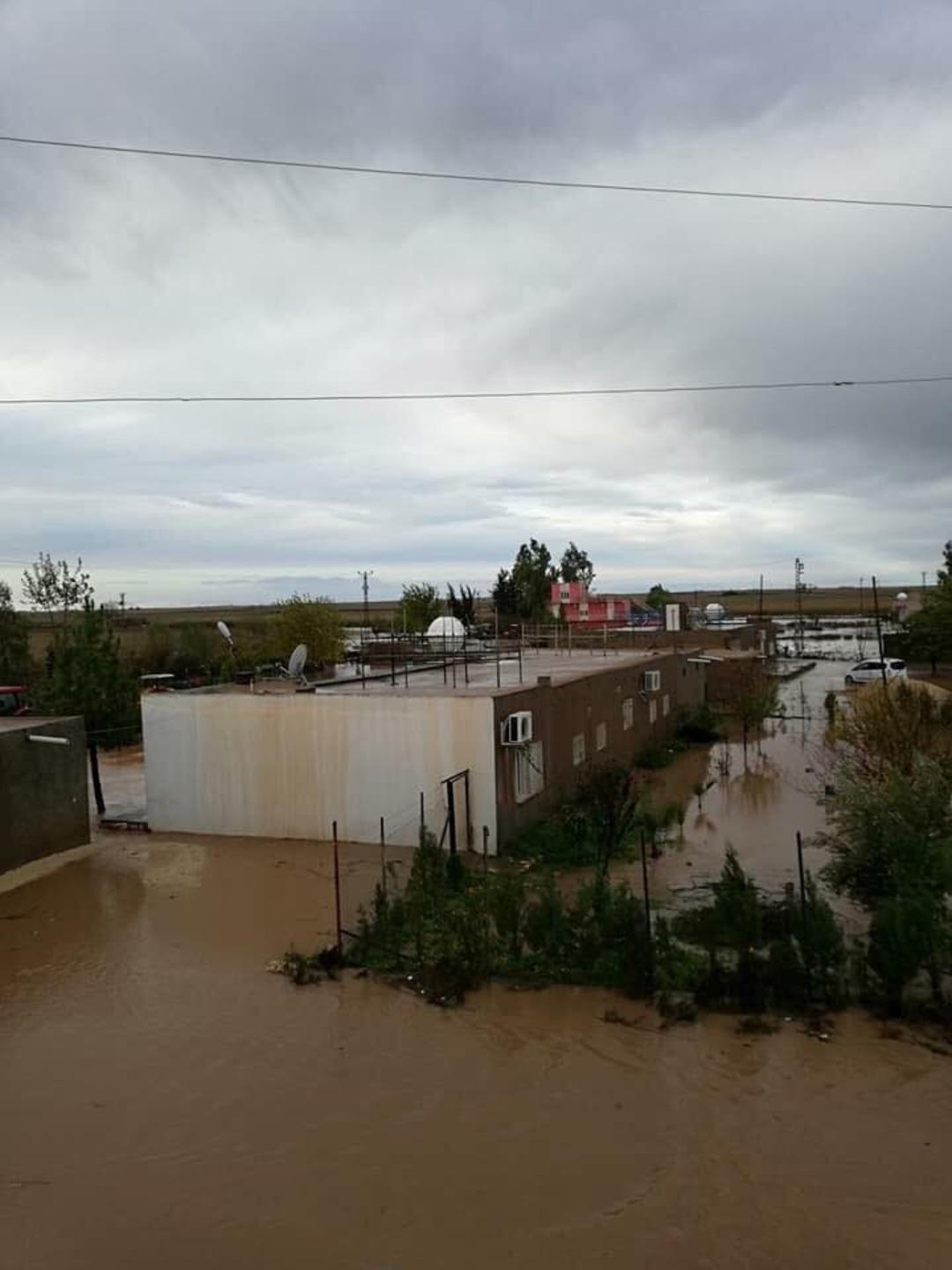 Kızıltepe&rsquo;de sel fıstık fidelerine zarar verdi
