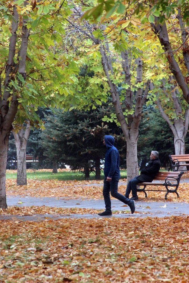 Kayseri'de sonbahar renkleri