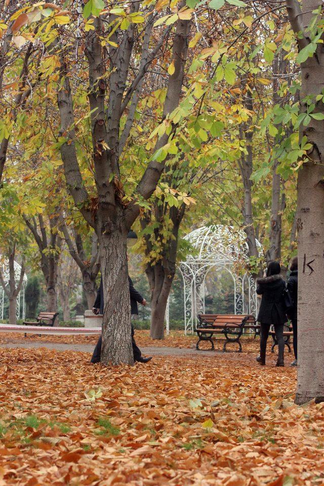 Kayseri'de sonbahar renkleri