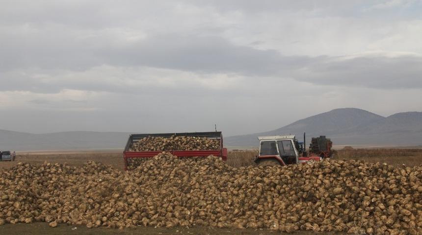 Aslanapa&rsquo;da 40 bin ton pancar hedefleniyor