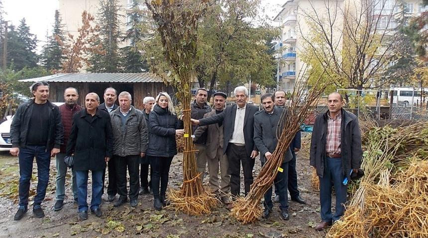 75 &uuml;reticiye dut fidanı dağıtıldı