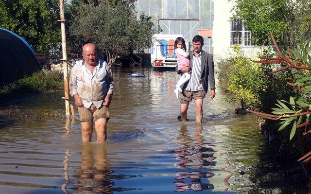 Anamur'da selde kümes hayvanları telef oldu