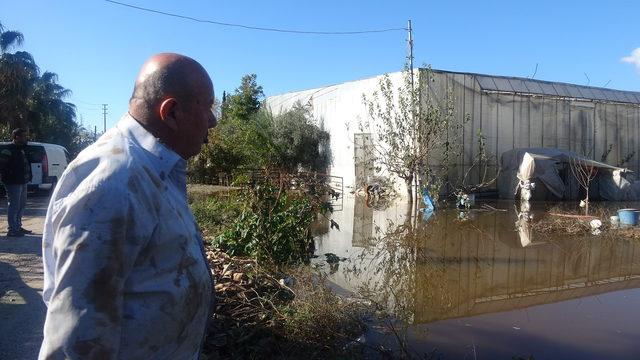 Anamur'da selde kümes hayvanları telef oldu