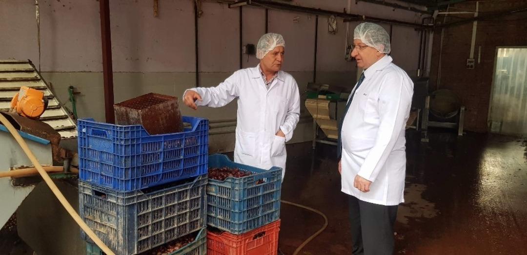 Kebabı ve şekeriyle &uuml;nl&uuml; kestaneler i&ccedil;in tanıtım başlatılacak