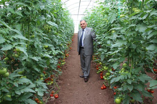 Kumluca Ziraat Odası Başkanı Kayhan görevinden istifa etti