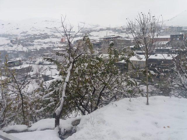 Hakkari Belediyesinden karla mücadele