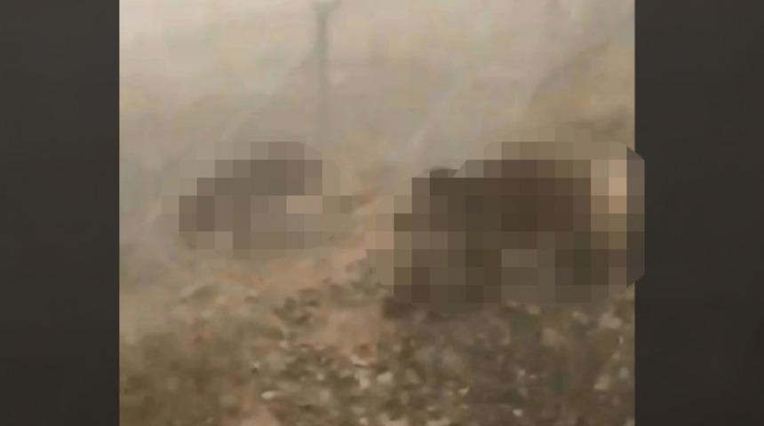 Sakarya'da belgesel ekibine büyük şok! 