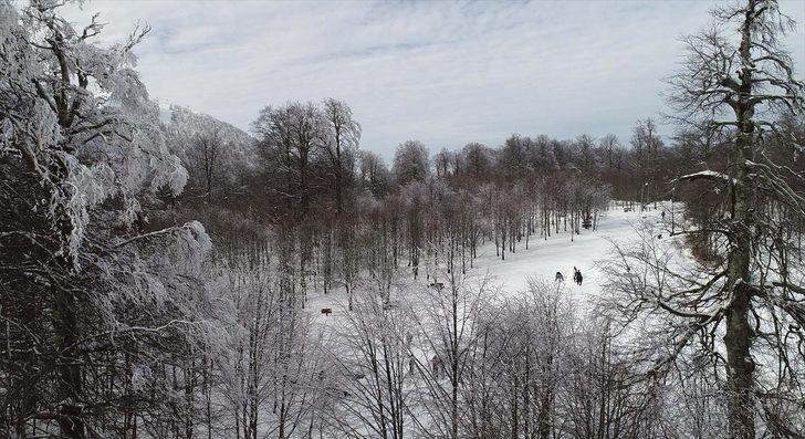 Kartepe'ye akın ettiler G2
