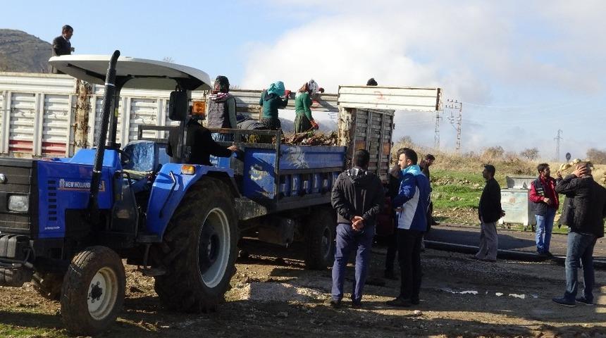 Gerc&uuml;ş&rsquo;te 135 bin fıstık fidanı dağıtılacak