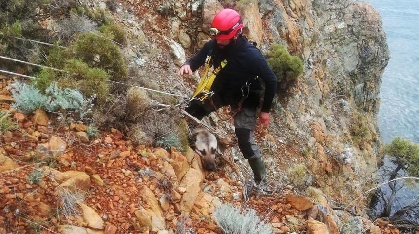 AKUT&rsquo;tan k&ouml;pek kurtarma operasyonu