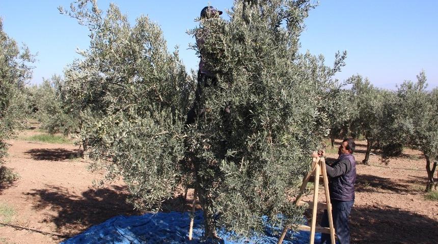 Ziraat Odası Başkanı Kendirlioğlu&rsquo;ndan &Ccedil;KS duyurusu